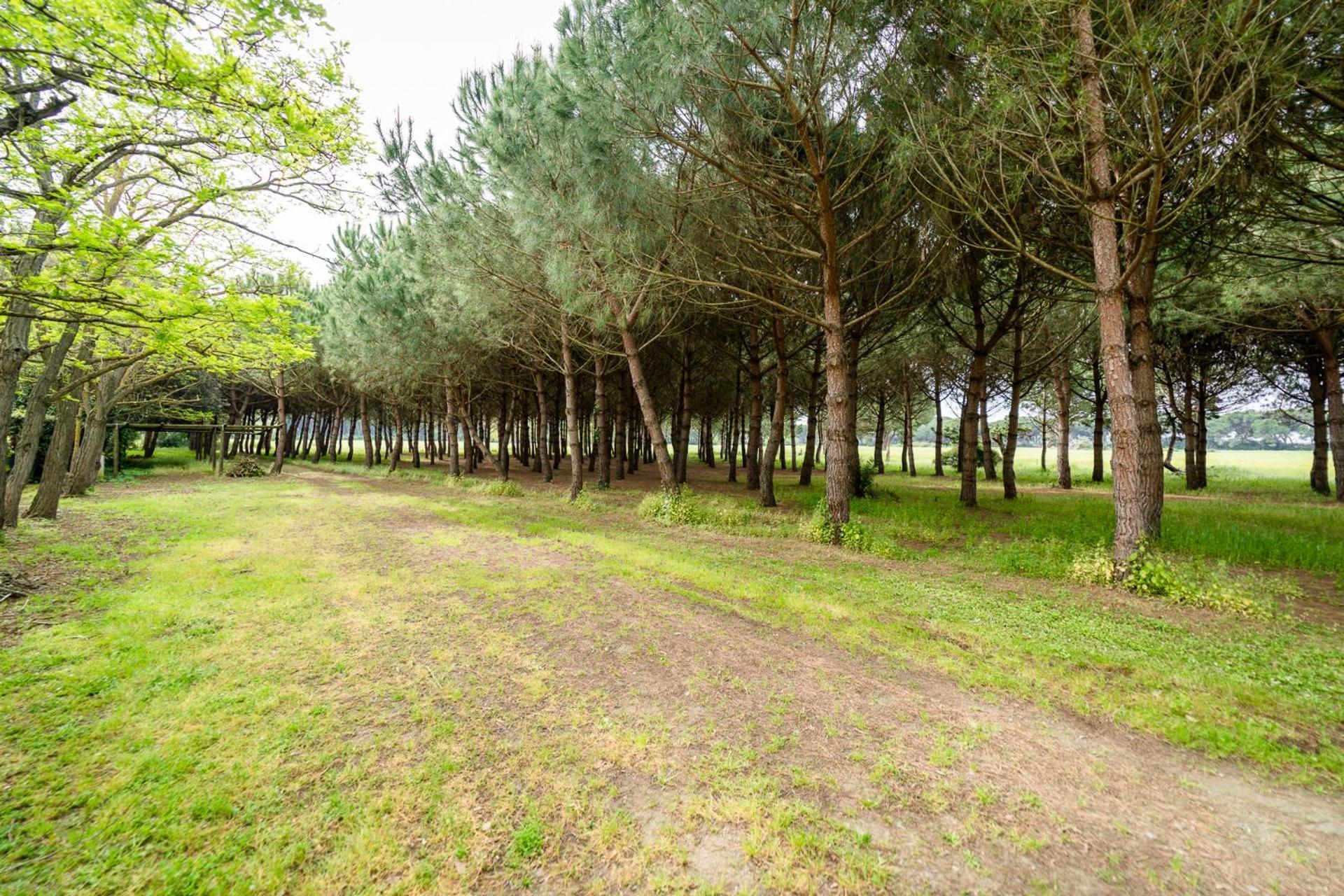 Agriturismo Bio Femminella Principina a Mare Luaran gambar