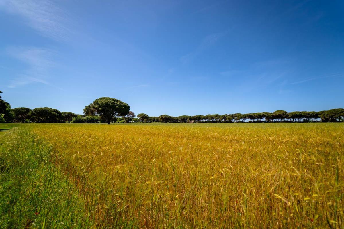 Agriturismo Bio Femminella Principina a Mare Luaran gambar